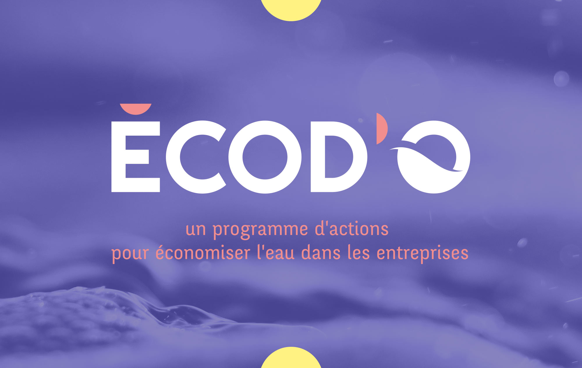 Écod’o : logo et identité visuelle