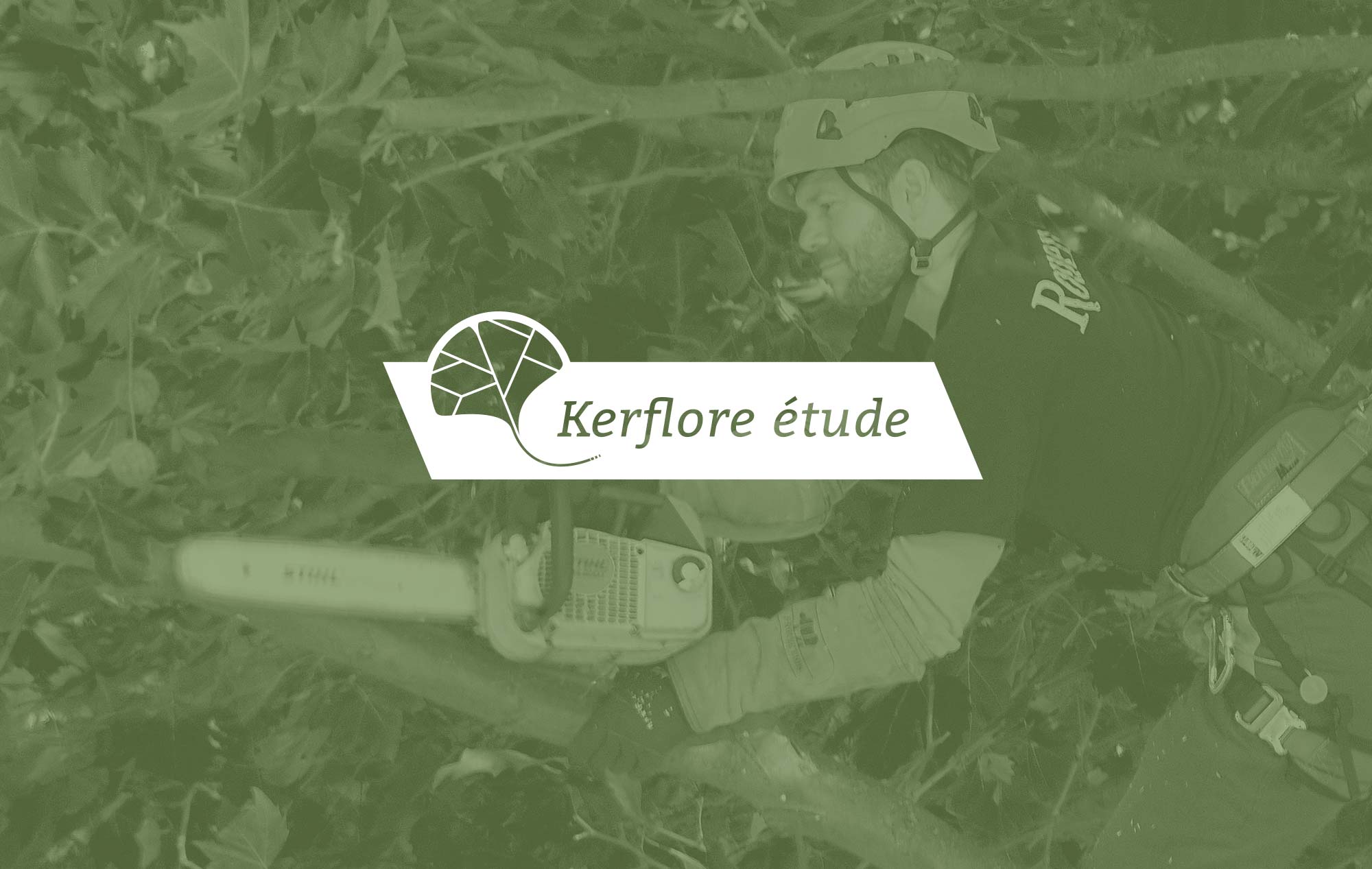 Logotype pour kerflore étude