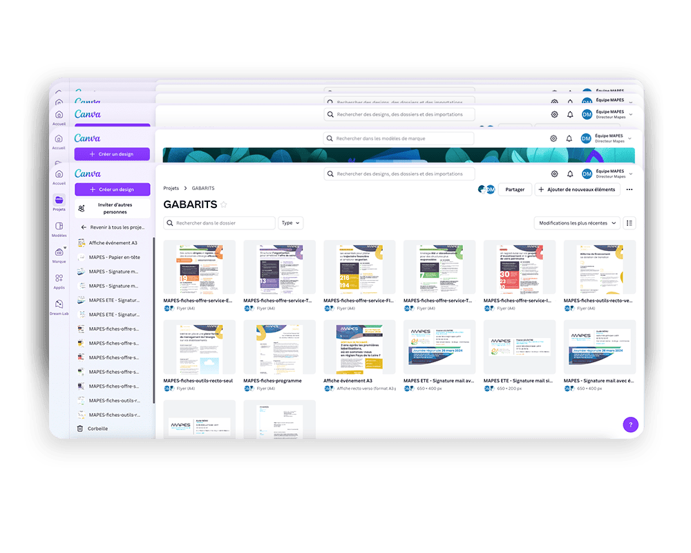 MAPES gabarits fiches programmes